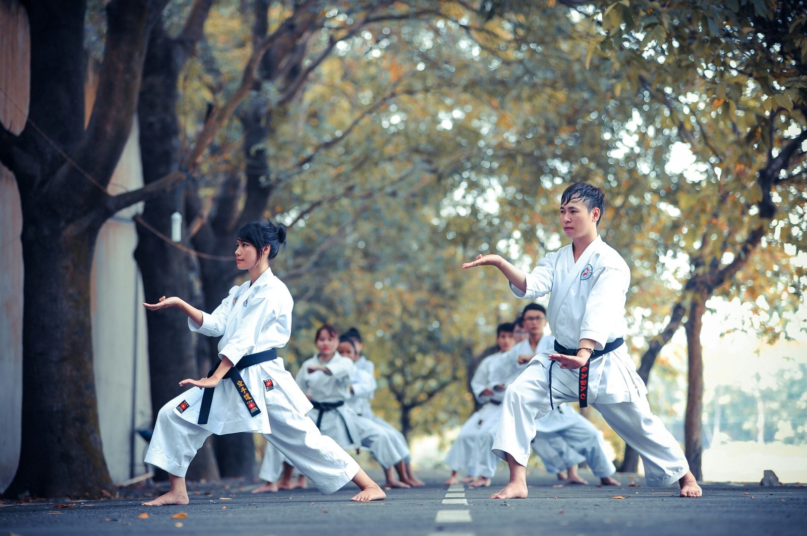 A Sinfonia do Corpo e da Mente: Desvendando a Essência do Kung Fu.